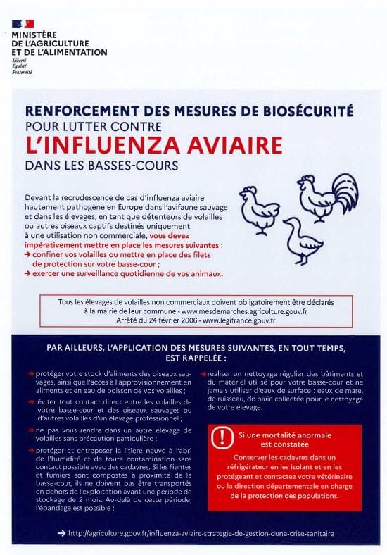 Grippe aviaire-Communiqué officiel 2