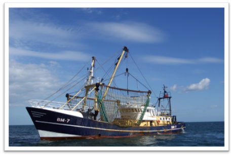 Bateau pêche