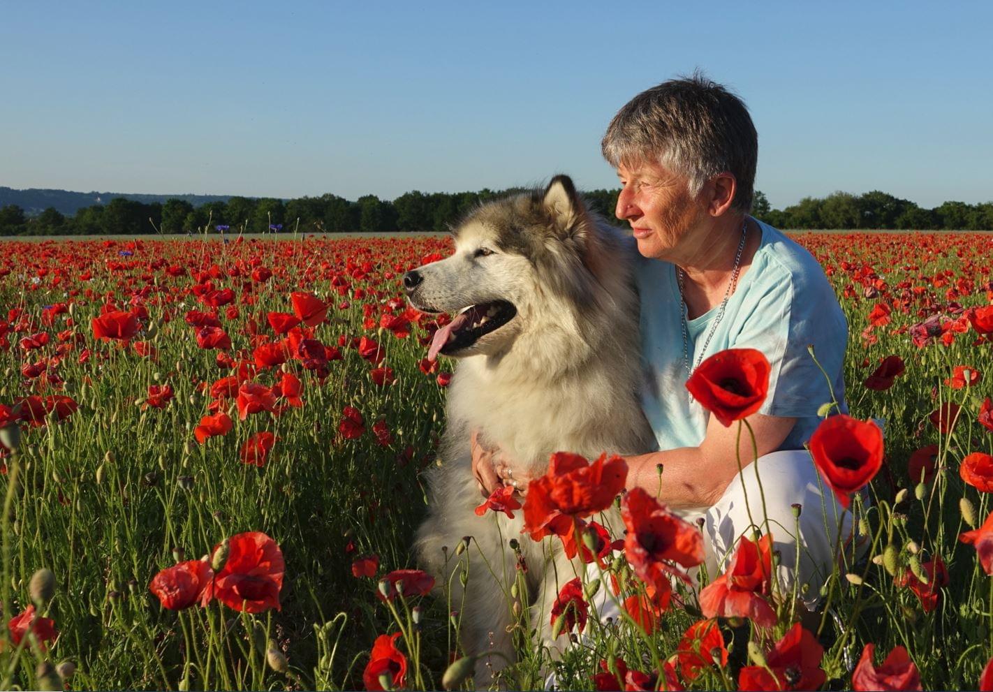 Chien réd