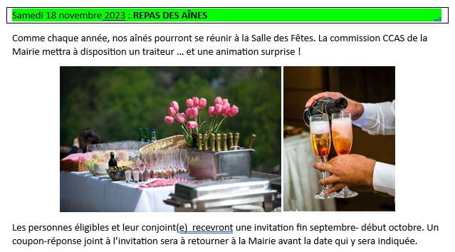 Repas des aînés